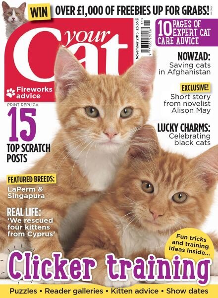 Your Cat – november 2015 Cover