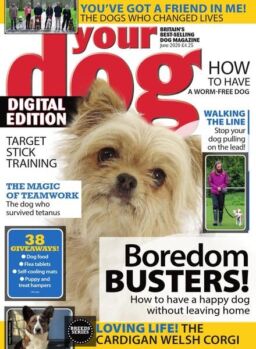 Your Dog – June 2020