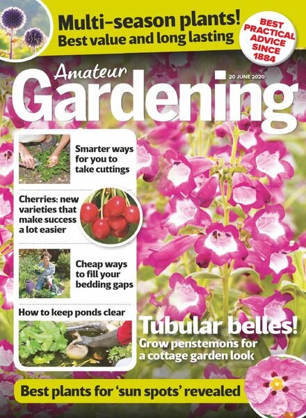 Amateur Gardening – 20 June 2020 Cover