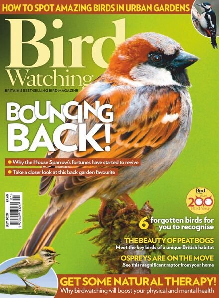 Bird Watching UK – July 2020 Cover