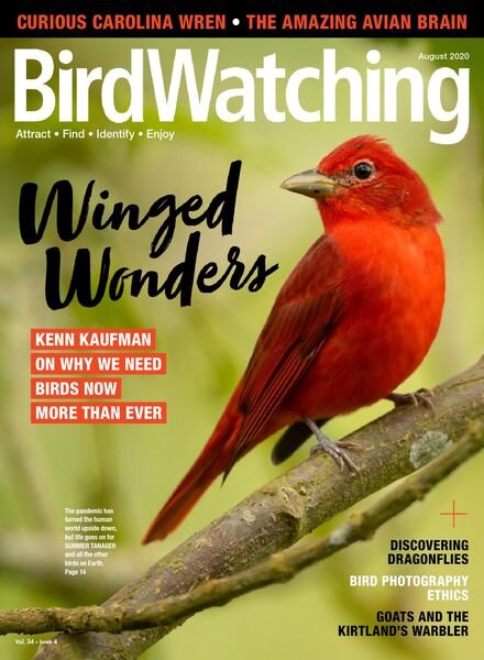 BirdWatching USA – July-August 2020 Cover