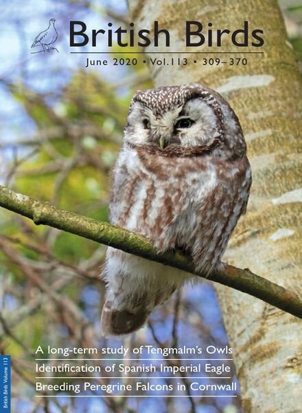 British Birds – June 2020 Cover