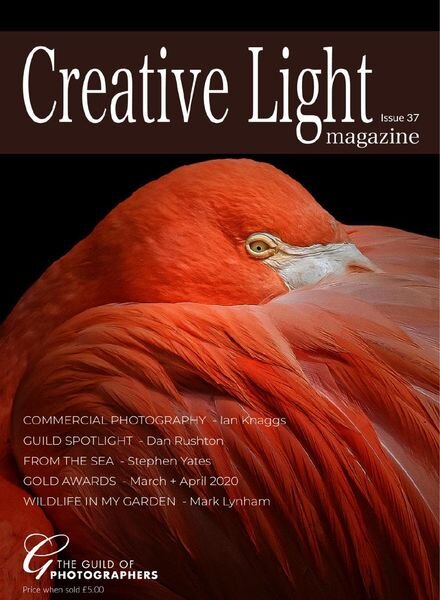 Creative Light – Issue 37 2020 Cover