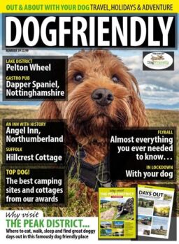 Dog Friendly – May-June 2020