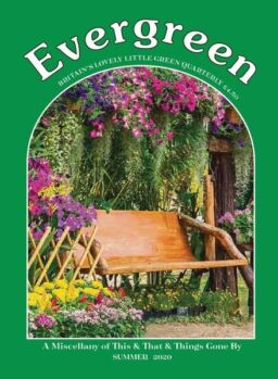 Evergreen – June 2020