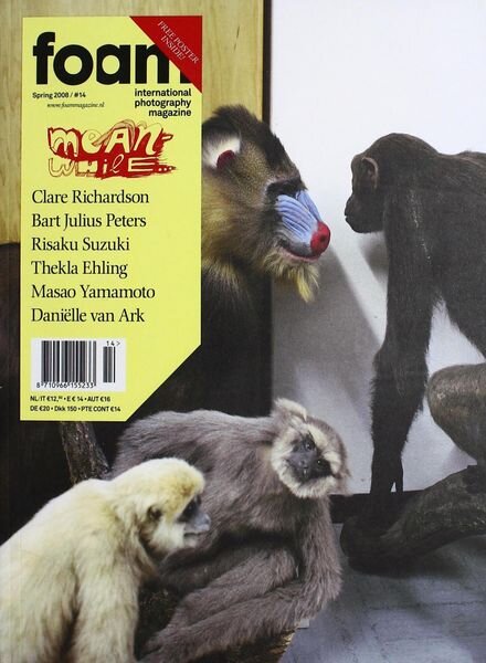 Foam Magazine – Issue 14 – Meanwhile Cover