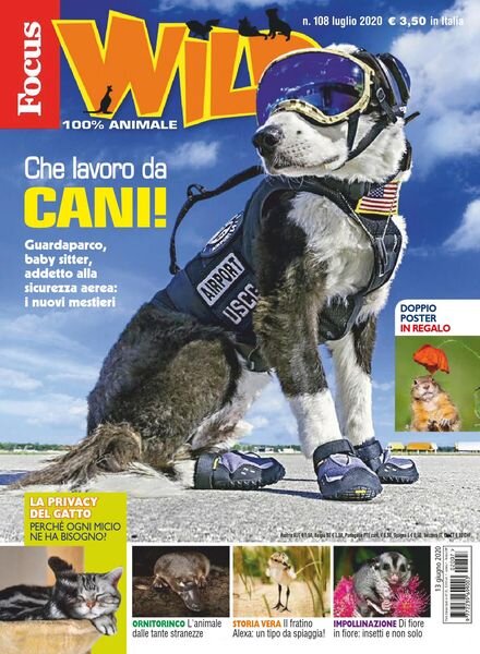 Focus Wild – luglio 2020 Cover