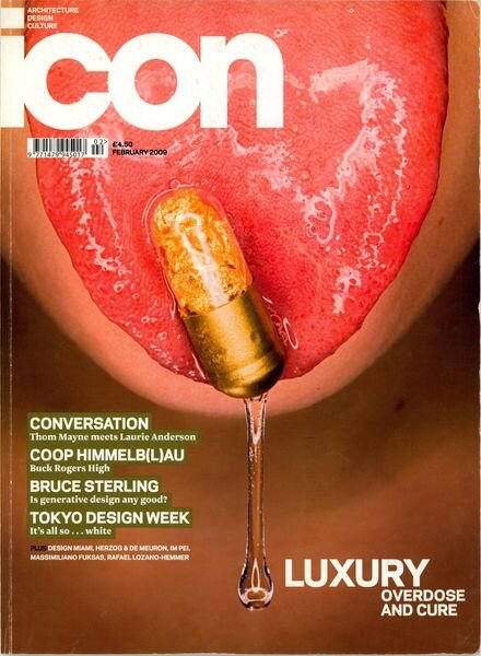 ICON – February 2009 Cover