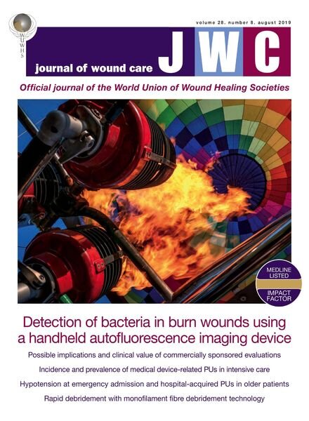 Journal of Wound Care – August 2019 Cover
