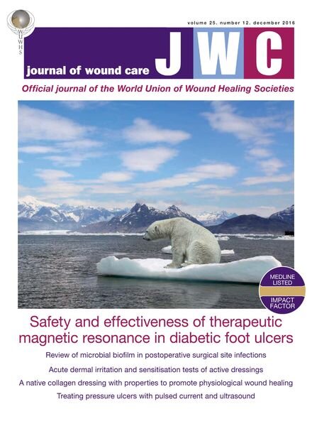 Journal of Wound Care – December 2016 Cover