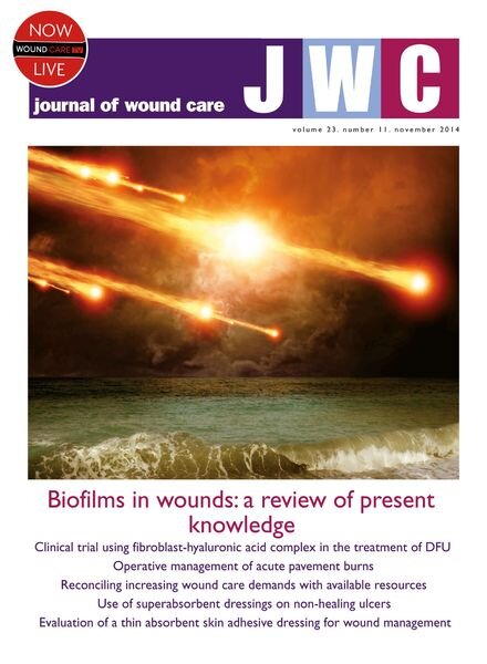 Journal of Wound Care – november 2014 Cover
