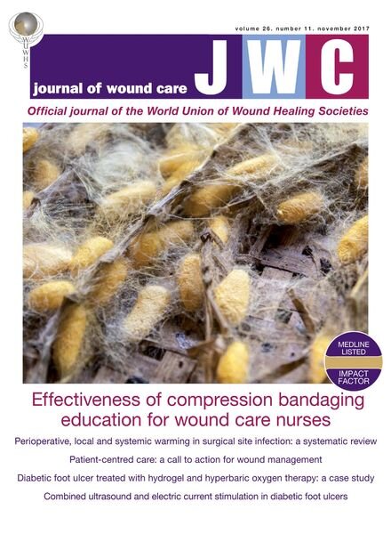 Journal of Wound Care – November 2017 Cover