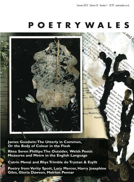 Poetry Wales – Summer 2019 544 Cover