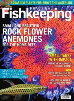 Practical Fishkeeping – June 2020