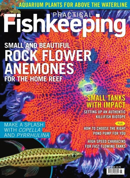 Practical Fishkeeping – June 2020 Cover