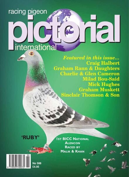 Racing Pigeon Pictorial International – June 2020 Cover