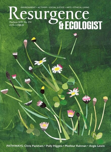 Resurgence & Ecologist – May- June 2019 Cover