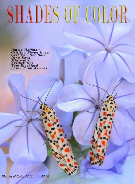 Shades of Color – N 11, 2020 Cover