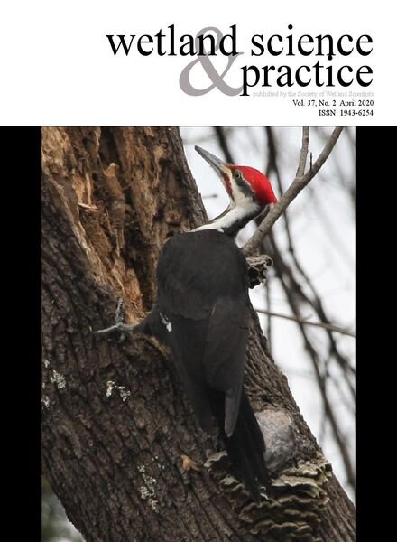 Wetland Science & Practice – April 2020 Cover