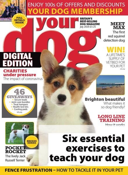 Your Dog – July 2020 Cover