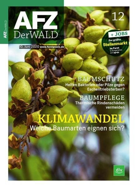 AFZ-DerWald – 29 Mai 2020 Cover
