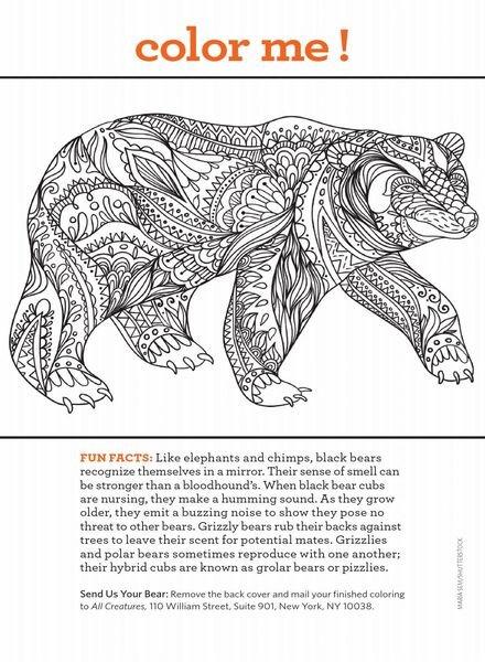 All Creatures – July 2020 Cover