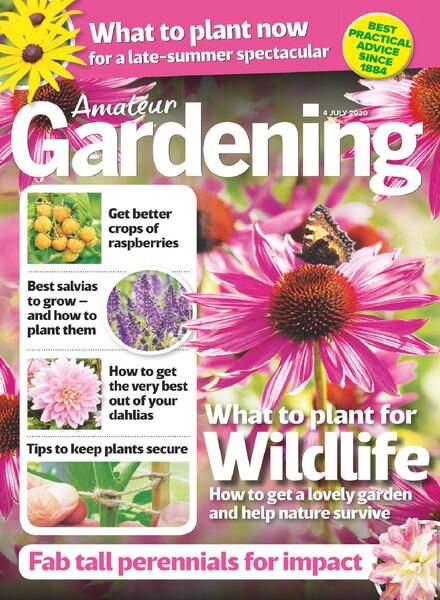 Amateur Gardening – 04 July 2020 Cover