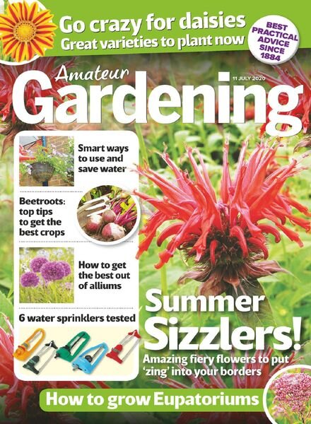 Amateur Gardening – 11 July 2020 Cover