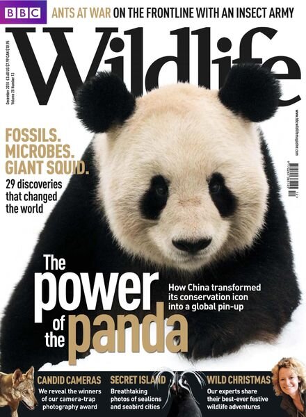 BBC Wildlife – December 2010 Cover