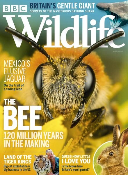 BBC Wildlife – July 2020 Cover