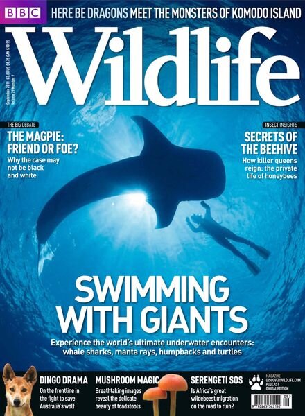 BBC Wildlife – September 2011 Cover