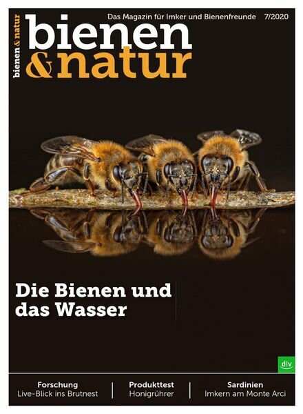 Bienen&Natur – Juni 2020 Cover