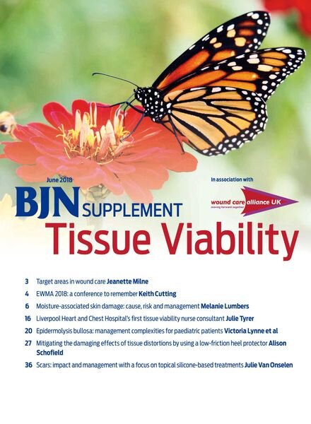 British Journal of Nursing – Tissue Viability Supplement Cover