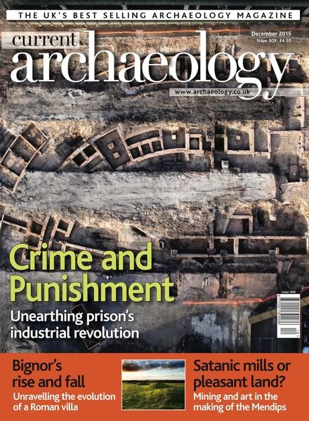 Current Archaeology – Issue 309 Cover