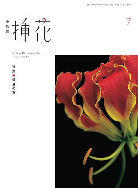 eBooks – 2020-07-01 Cover