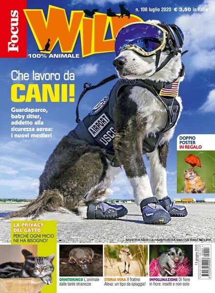 Focus Wild – agosto 2020 Cover