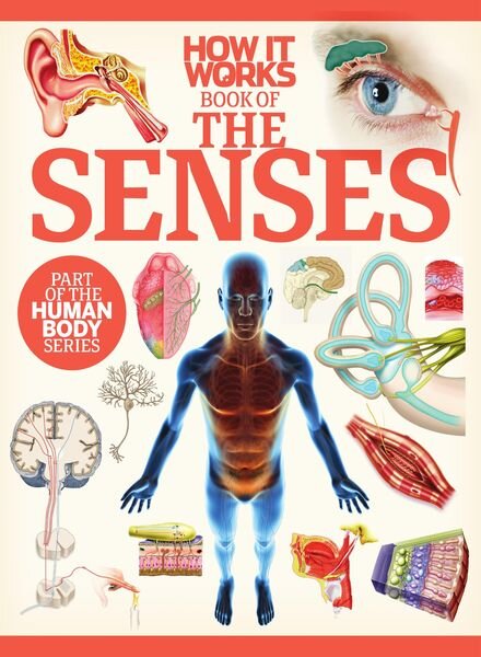 How It Works Book of the Senses – 29 June 2020 Cover