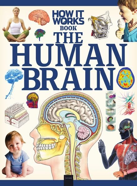 How It Works The Human Brain – 30 June 2020 Cover