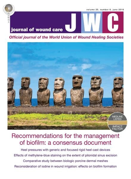 Journal of Wound Care – June 2016 Cover