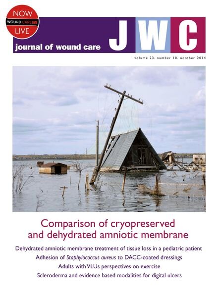 Journal of Wound Care – October 2014 Cover