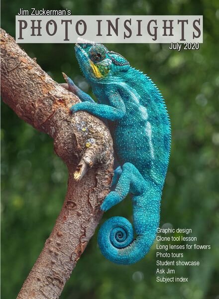 Photo Insights – July 2020 Cover