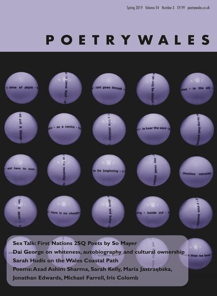 Poetry Wales – Spring 2019 543 Cover