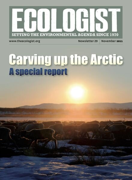 Resurgence & Ecologist – Ecologist Newsletter 29 – Nov 2011 Cover