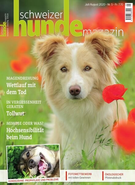 Schweizer Hunde Magazin – 18 Juni 2020 Cover