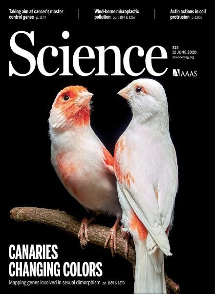 Science – 12 June 2020 Cover