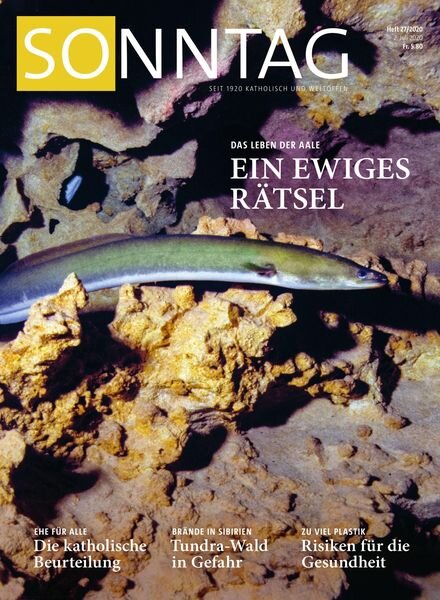 Sonntag – 02 Juli 2020 Cover
