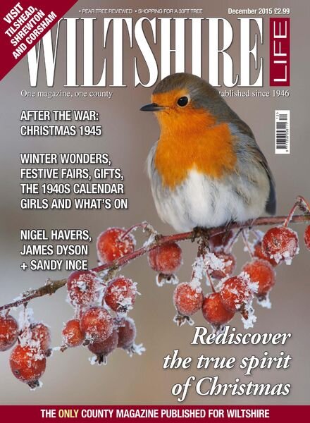Wiltshire Life – December 2015 Cover
