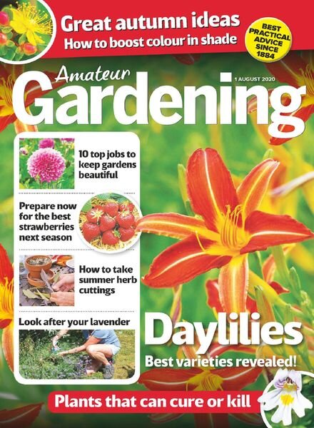 Amateur Gardening – 01 August 2020 Cover