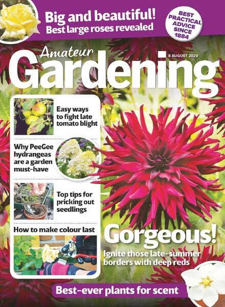 Amateur Gardening – 08 August 2020 Cover