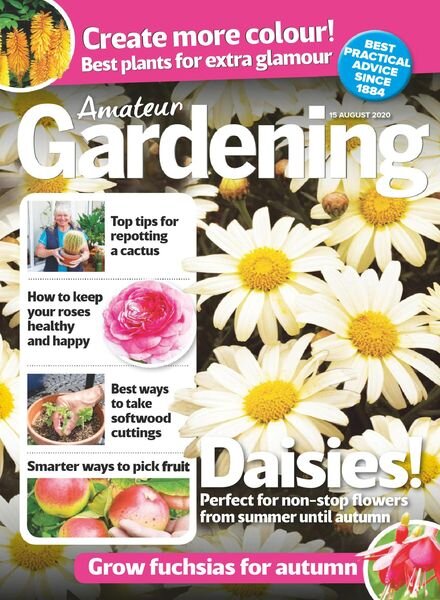 Amateur Gardening – 15 August 2020 Cover